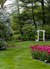 spring garden